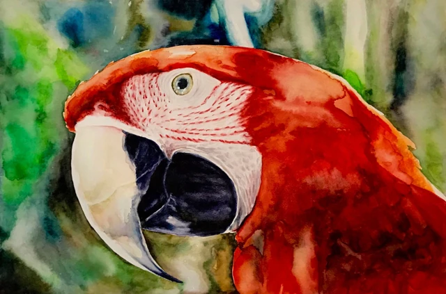 A scarlet macaw with a pale patterned face and dark beak, watercolor by Fabiano Santos